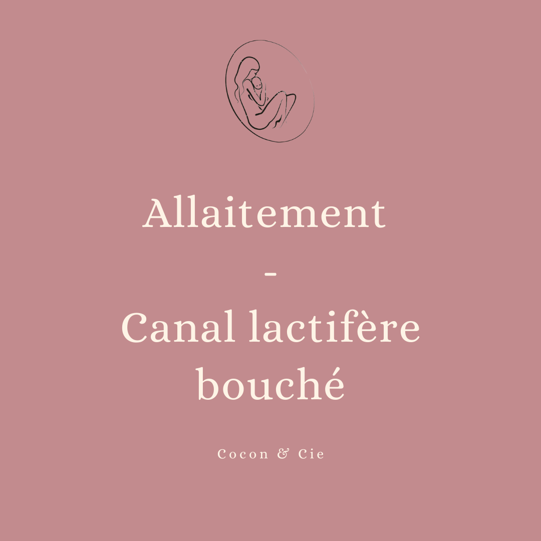 Cocon & Cie | Allaitement ⇝ canal lactifère bouché ⇝ engorgement ...